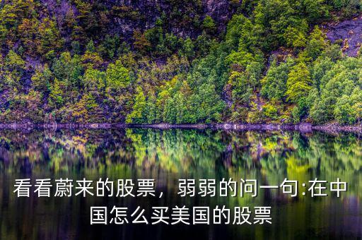 看看蔚來的股票，弱弱的問一句:在中國怎么買美國的股票