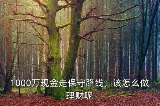 1000萬現(xiàn)金走保守路線，該怎么做理財呢