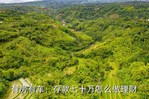 有房有車(chē)，存款七十萬(wàn)怎么做理財(cái)