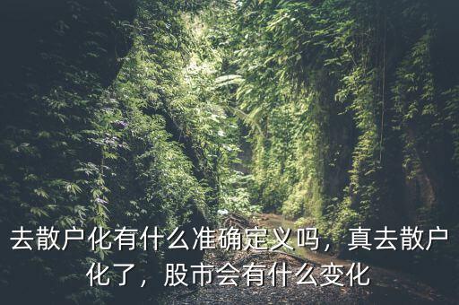 去散戶化有什么準(zhǔn)確定義嗎，真去散戶化了，股市會有什么變化