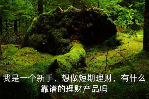 我是一個新手，想做短期理財，有什么靠譜的理財產(chǎn)品嗎