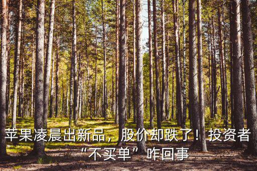 蘋果凌晨出新品，股價卻跌了！投資者“不買單”咋回事