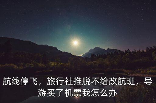 航線停飛，旅行社推脫不給改航班，導(dǎo)游買了機(jī)票我怎么辦