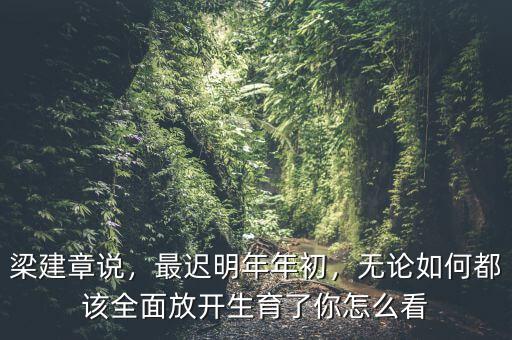 梁建章說(shuō)，最遲明年年初，無(wú)論如何都該全面放開(kāi)生育了你怎么看