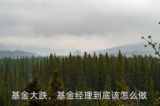 基金大跌，基金經(jīng)理到底該怎么做
