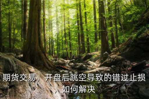 期貨交易，開盤后跳空導(dǎo)致的錯過止損，如何解決