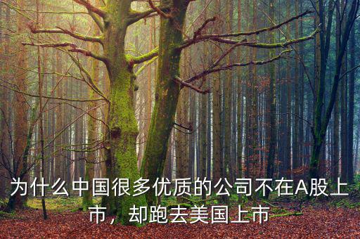 為什么中國很多優(yōu)質的公司不在A股上市，卻跑去美國上市