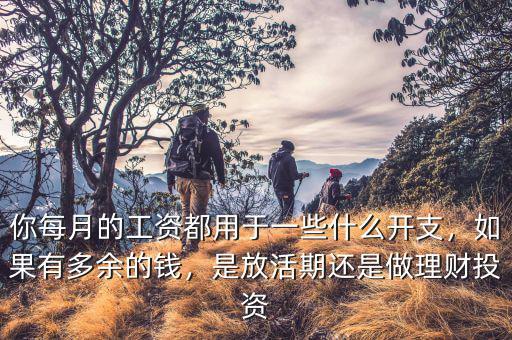 你每月的工資都用于一些什么開支，如果有多余的錢，是放活期還是做理財投資