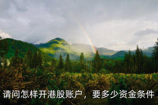 請問怎樣開港股賬戶，要多少資金條件