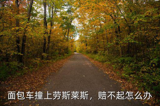 面包車撞上勞斯萊斯，賠不起怎么辦