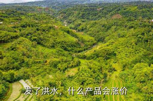 發(fā)了洪水，什么產(chǎn)品會漲價