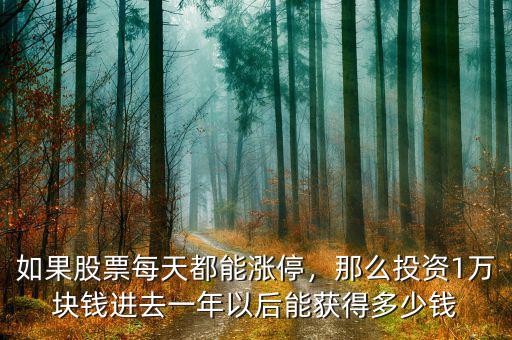 如果股票每天都能漲停，那么投資1萬塊錢進去一年以后能獲得多少錢