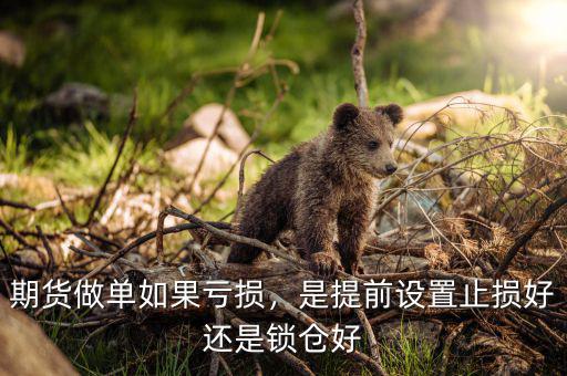 期貨做單如果虧損，是提前設(shè)置止損好還是鎖倉好