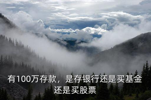有100萬存款，是存銀行還是買基金還是買股票