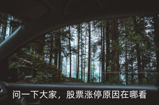 問一下大家，股票漲停原因在哪看