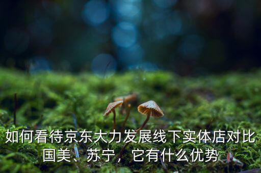 如何看待京東大力發(fā)展線下實(shí)體店對(duì)比國(guó)美、蘇寧，它有什么優(yōu)勢(shì)