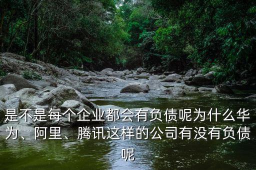是不是每個企業(yè)都會有負債呢為什么華為、阿里、騰訊這樣的公司有沒有負債呢