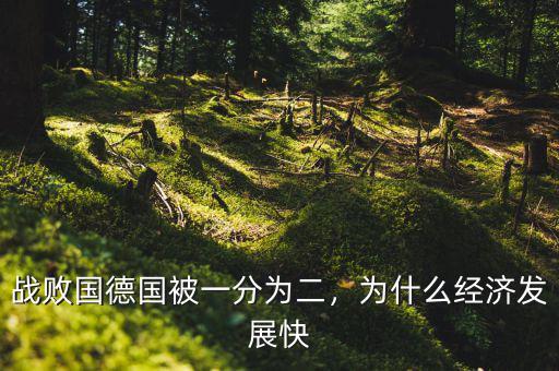 戰(zhàn)敗國德國被一分為二，為什么經濟發(fā)展快