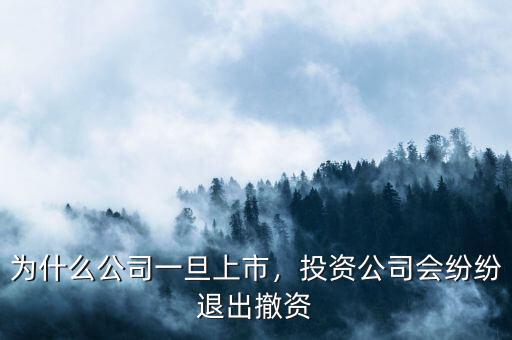 為什么公司一旦上市，投資公司會(huì)紛紛退出撤資
