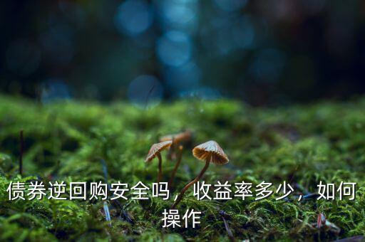 債券逆回購安全嗎，收益率多少，如何操作