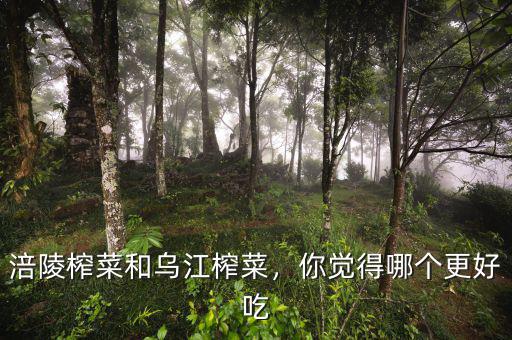 涪陵榨菜和烏江榨菜，你覺得哪個(gè)更好吃