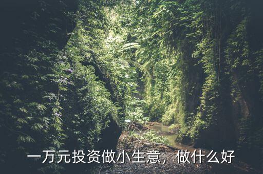 一萬元投資做小生意，做什么好