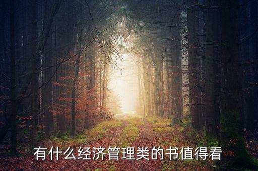 有什么經(jīng)濟(jì)管理類的書(shū)值得看