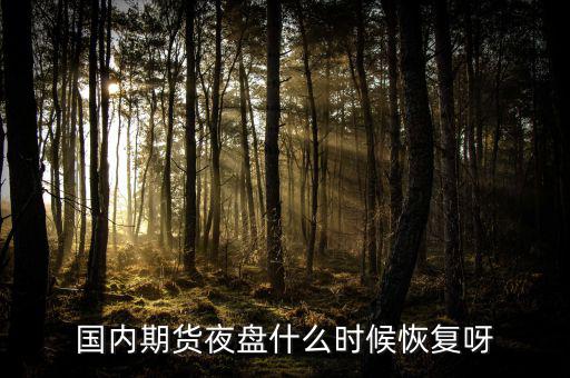 國(guó)內(nèi)期貨夜盤什么時(shí)候恢復(fù)呀