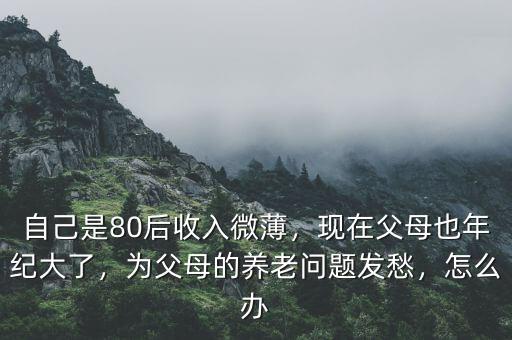 自己是80后收入微薄，現(xiàn)在父母也年紀(jì)大了，為父母的養(yǎng)老問題發(fā)愁，怎么辦