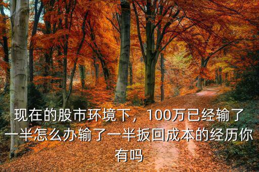 現(xiàn)在的股市環(huán)境下，100萬已經(jīng)輸了一半怎么辦輸了一半扳回成本的經(jīng)歷你有嗎