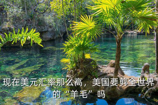 現(xiàn)在美元匯率那么高，美國(guó)要剪全世界的“羊毛”嗎