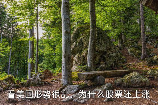 看美國(guó)形勢(shì)很亂，為什么股票還上漲
