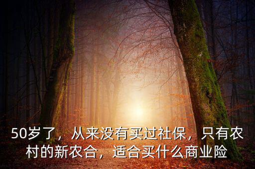 50歲了，從來沒有買過社保，只有農(nóng)村的新農(nóng)合，適合買什么商業(yè)險