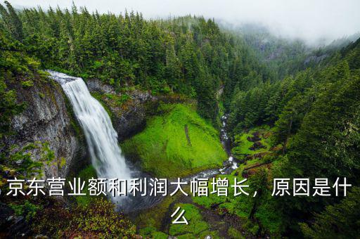 京東營(yíng)業(yè)額和利潤(rùn)大幅增長(zhǎng)，原因是什么