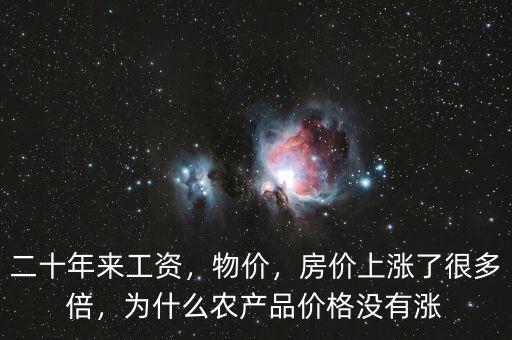 二十年來工資，物價，房價上漲了很多倍，為什么農(nóng)產(chǎn)品價格沒有漲