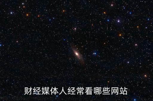 財經(jīng)媒體人經(jīng)?？茨男┚W(wǎng)站