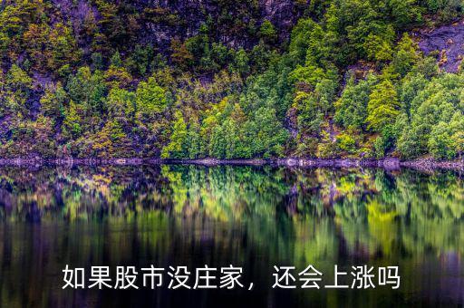 如果股市沒莊家，還會上漲嗎