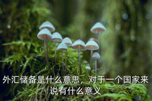 外匯儲(chǔ)備是什么意思，對(duì)于一個(gè)國(guó)家來說有什么意義
