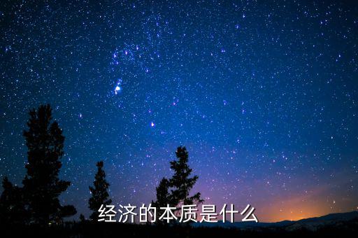 經濟的本質是什么