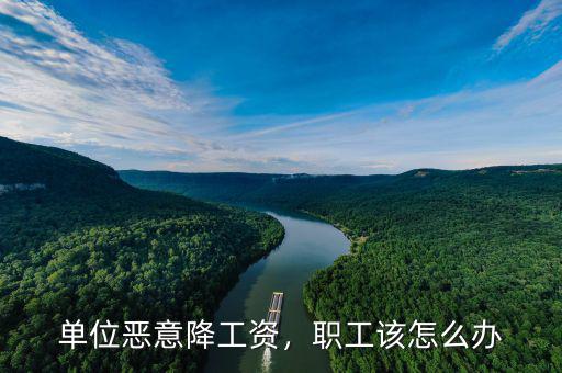 單位惡意降工資，職工該怎么辦