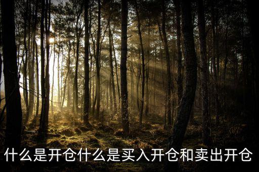 開(kāi)倉(cāng)買(mǎi)需要什么手續(xù),期貨憑什么開(kāi)倉(cāng)