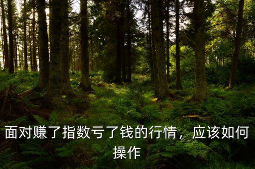 面對賺了指數(shù)虧了錢的行情，應(yīng)該如何操作