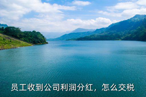 員工收到公司利潤(rùn)分紅，怎么交稅