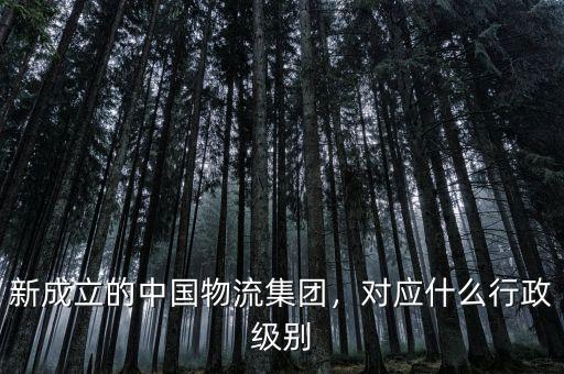 新成立的中國物流集團(tuán)，對(duì)應(yīng)什么行政級(jí)別
