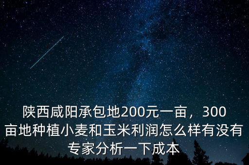 陜西咸陽承包地200元一畝，300畝地種植小麥和玉米利潤怎么樣有沒有專家分析一下成本