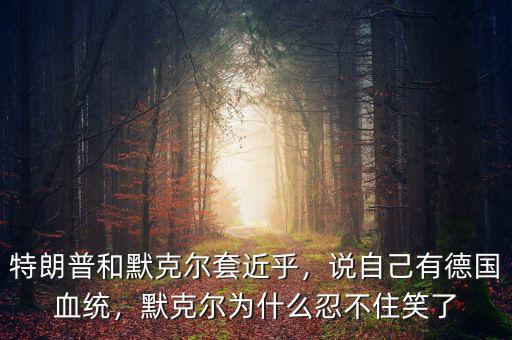 特朗普和默克爾套近乎，說自己有德國血統(tǒng)，默克爾為什么忍不住笑了