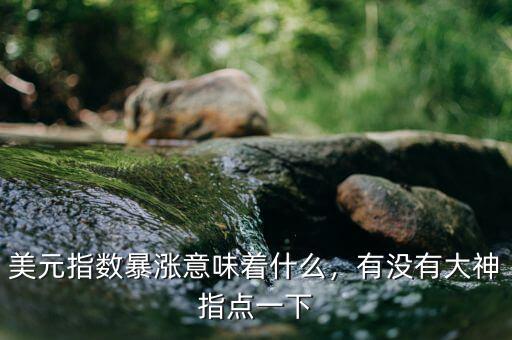 美元指數(shù)暴漲意味著什么，有沒有大神指點(diǎn)一下