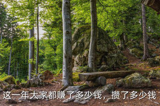 這一年大家都賺了多少錢，攢了多少錢
