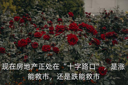 現(xiàn)在房地產(chǎn)正處在“十字路口”，是漲能救市，還是跌能救市