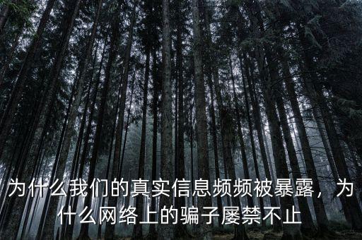 為什么我們的真實信息頻頻被暴露，為什么網(wǎng)絡上的騙子屢禁不止
